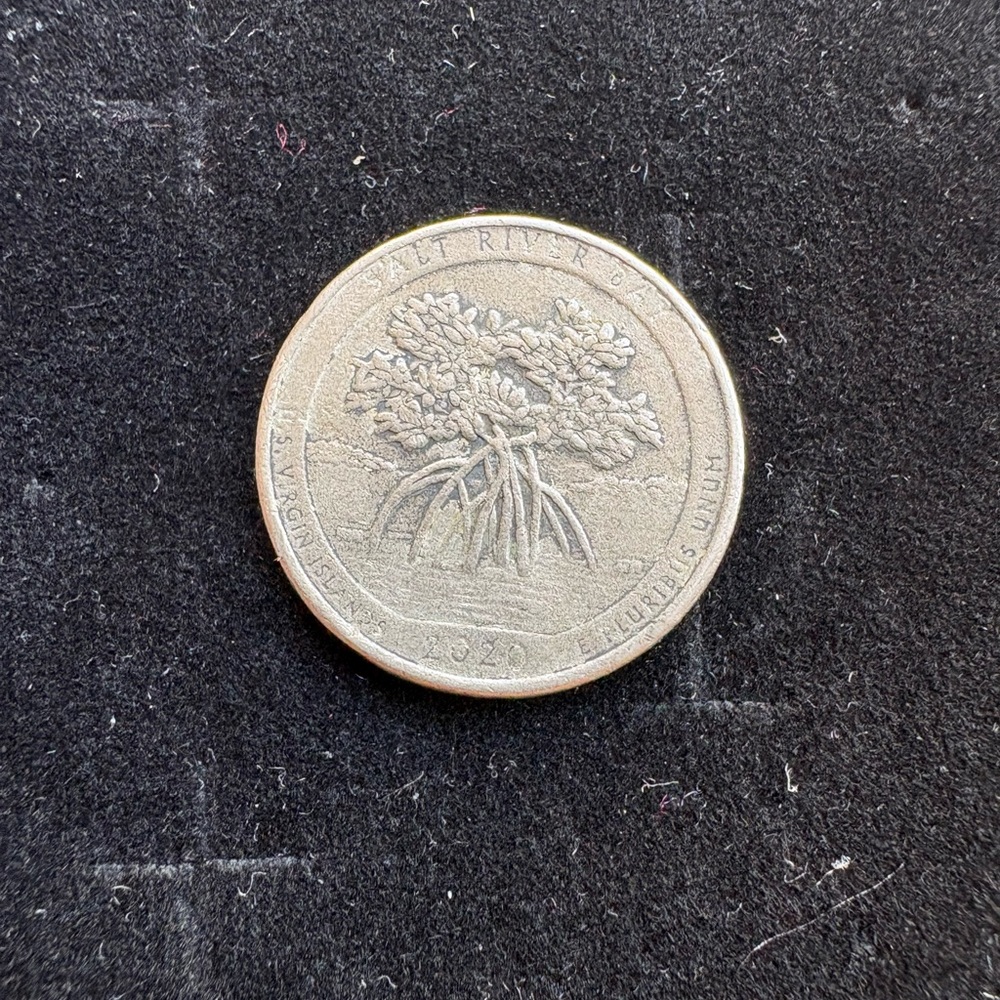 2020-P Salt River Bay Quarter RARE Mint Error | Circulated Collector Coin